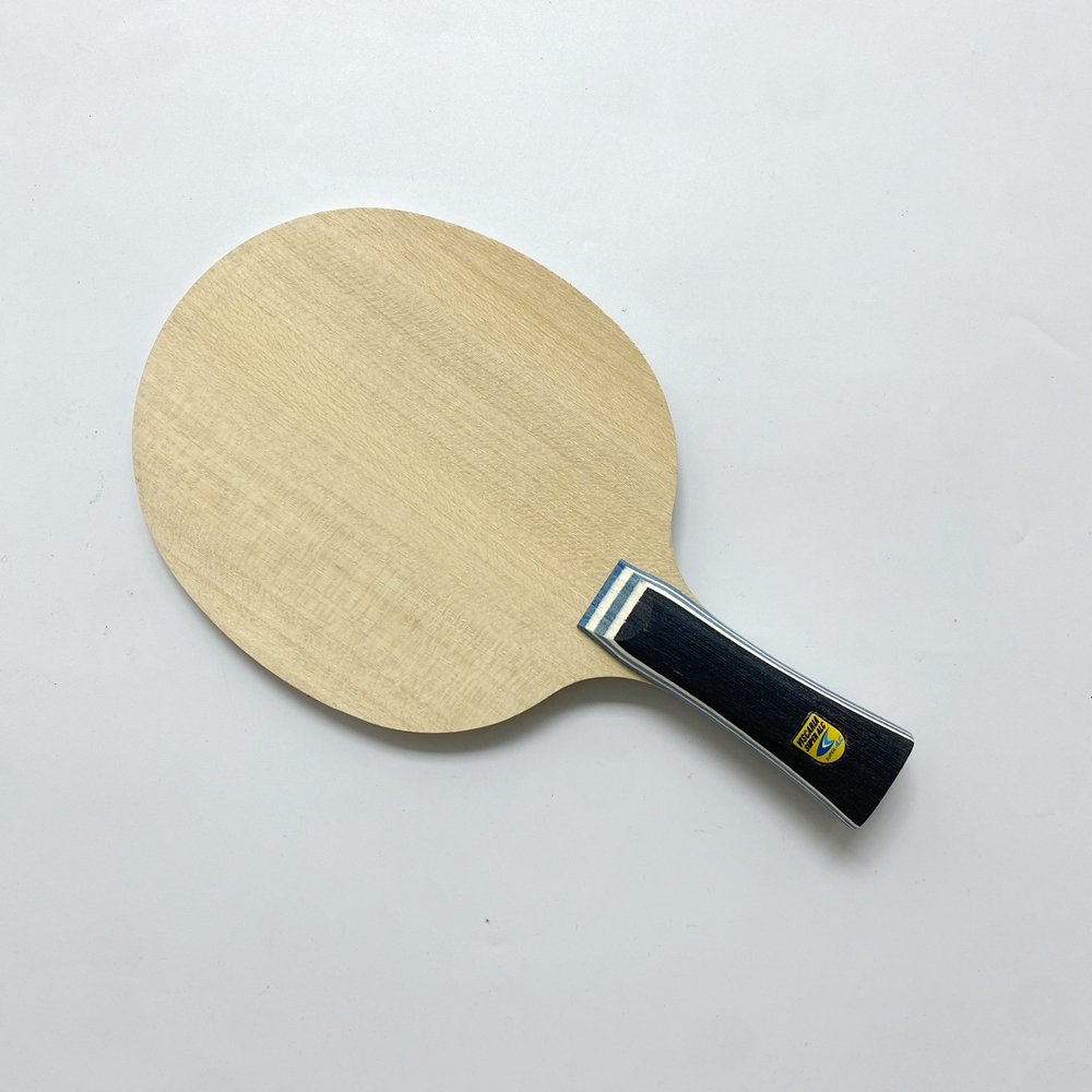 Lemuria VIS Carbon Fiber Table - Table Tennis Viscaria ulasan dan harga